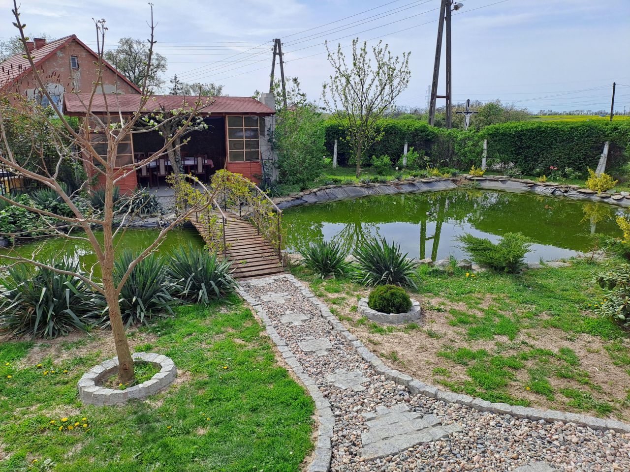 dom wolnostojący, 5 pokoi Szymanowice. Zdjęcie 16