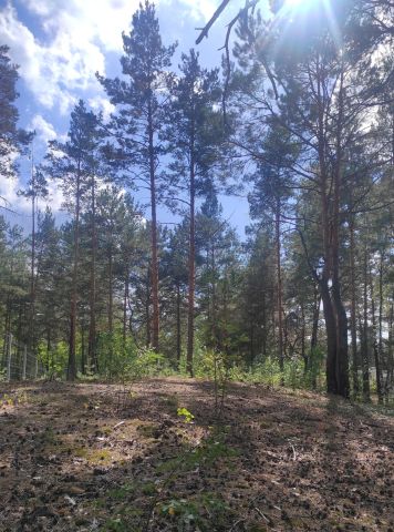 Działka budowlana Radzymin Rejentówka, ul. Letniskowa. Zdjęcie 1