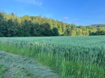 Działka budowlana Siołkowa Zagórze. Zdjęcie 4
