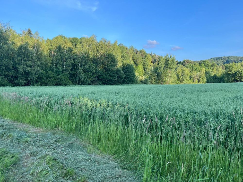 Działka budowlana Siołkowa Zagórze. Zdjęcie 5