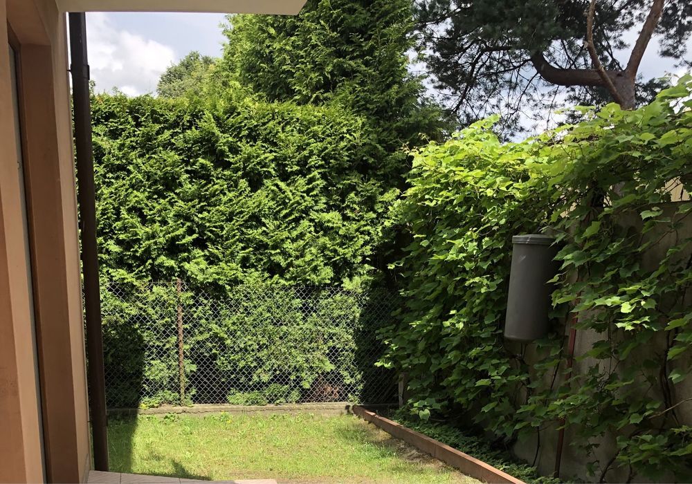 Mieszkanie 1-pokojowe Bolszewo. Zdjęcie 2