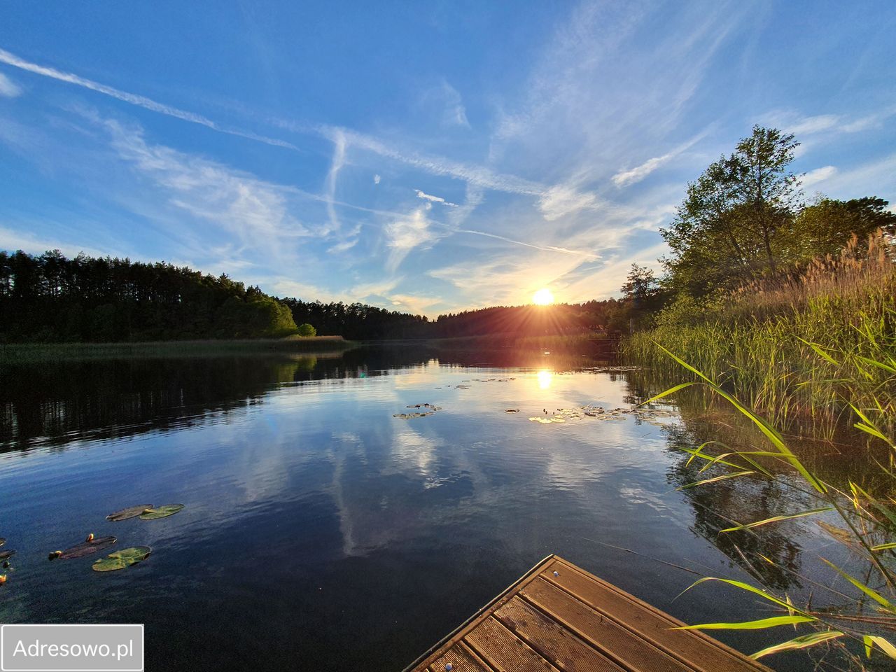Działka rolno-budowlana Psie Głowy. Zdjęcie 6