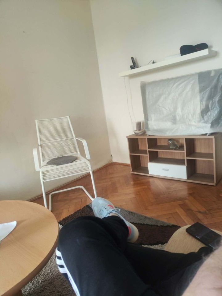 Mieszkanie 3-pokojowe Poznań Winogrady. Zdjęcie 3