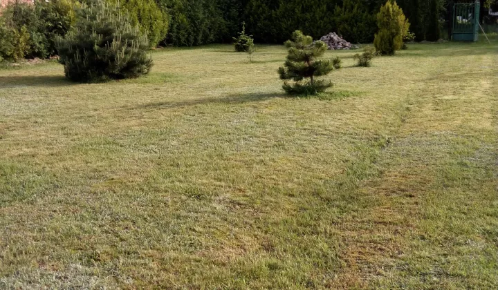 Działka rolno-budowlana Bolimowska Wieś