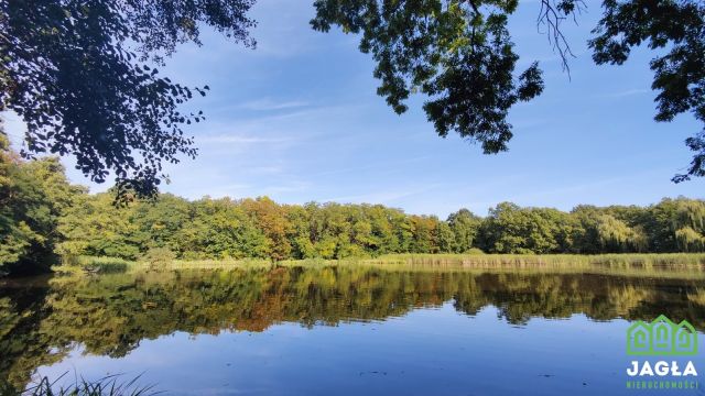 Działka leśna Rusko. Zdjęcie 7