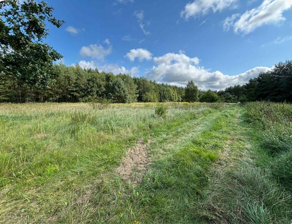 Działka budowlana Wysoka Kamieńska, ul. Kozielicka. Zdjęcie 2