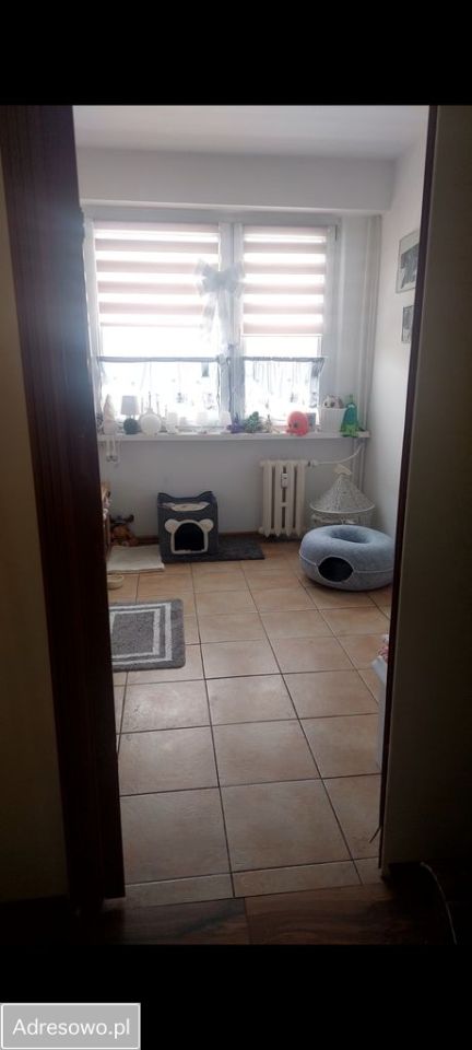 Mieszkanie 3-pokojowe Toruń Rubinkowo, ul. Teodora Donimirskiego. Zdjęcie 3