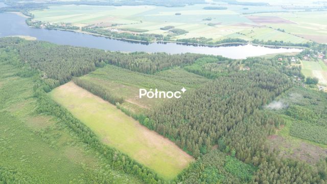 Działka leśna Makosieje. Zdjęcie 5