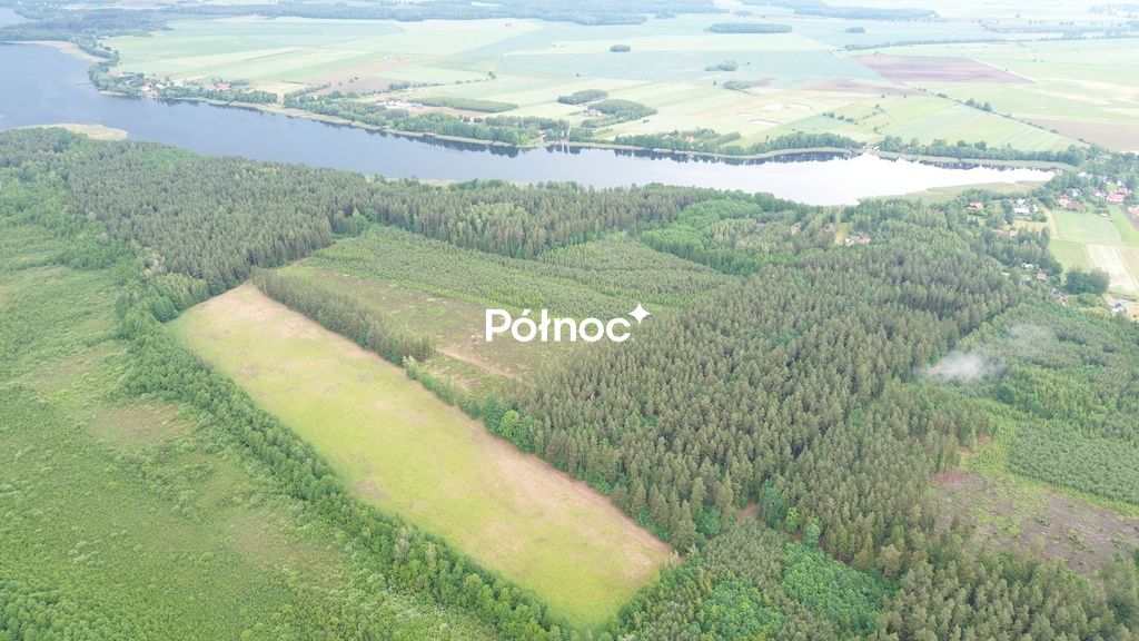 Działka leśna Makosieje. Zdjęcie 5