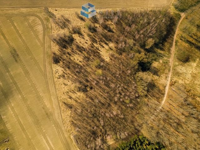 Działka rolna Dziśnity. Zdjęcie 5