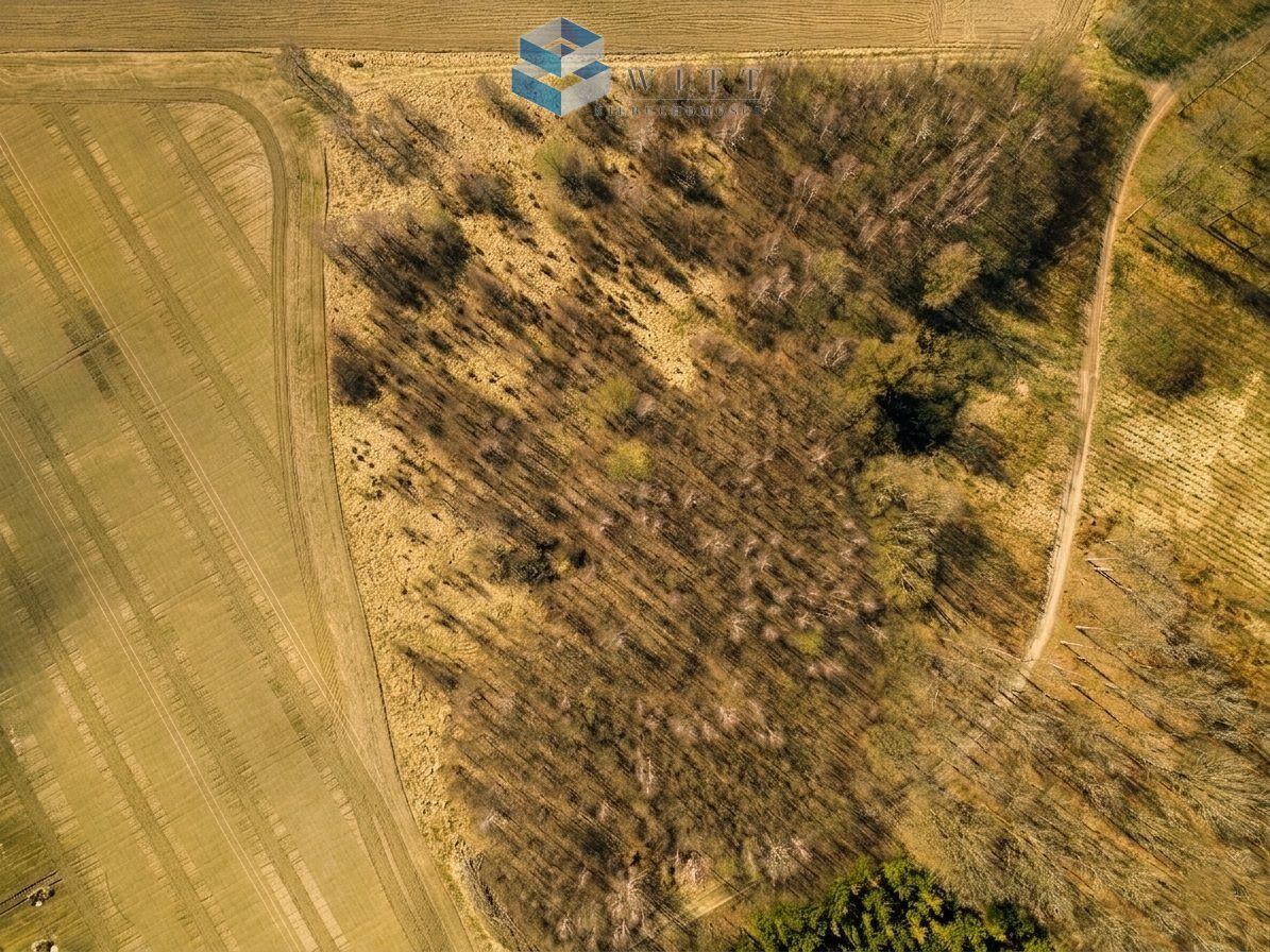 Działka rolna Dziśnity. Zdjęcie 5