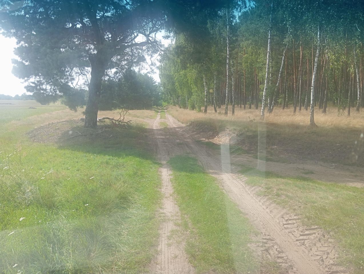 Działka rolna Strzelczyki. Zdjęcie 5