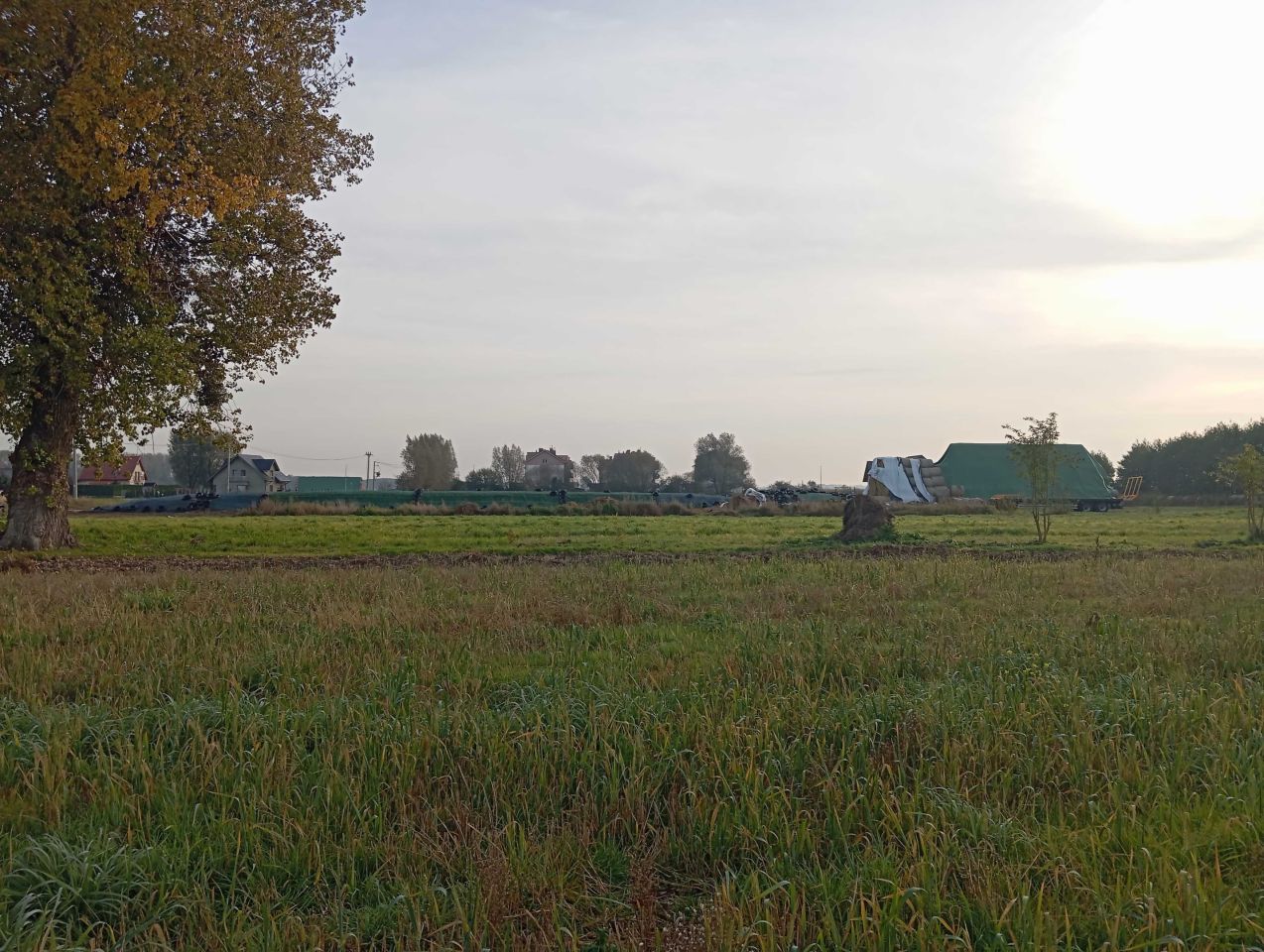Działka budowlana Cieplewo, ul. Przemysłowa. Zdjęcie 7