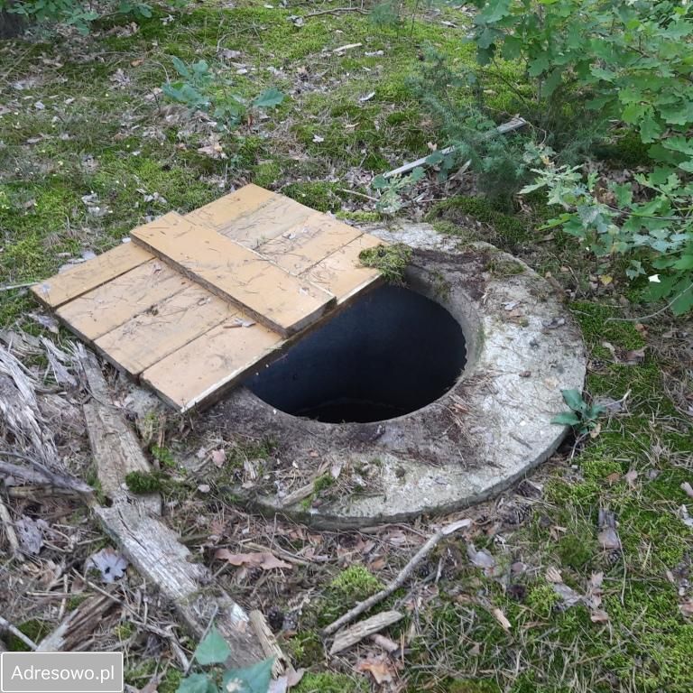 Działka leśna Słopsk. Zdjęcie 5