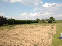 Działka rekreacyjna Krępiec, ul. Czereśniowa. Zdjęcie 2