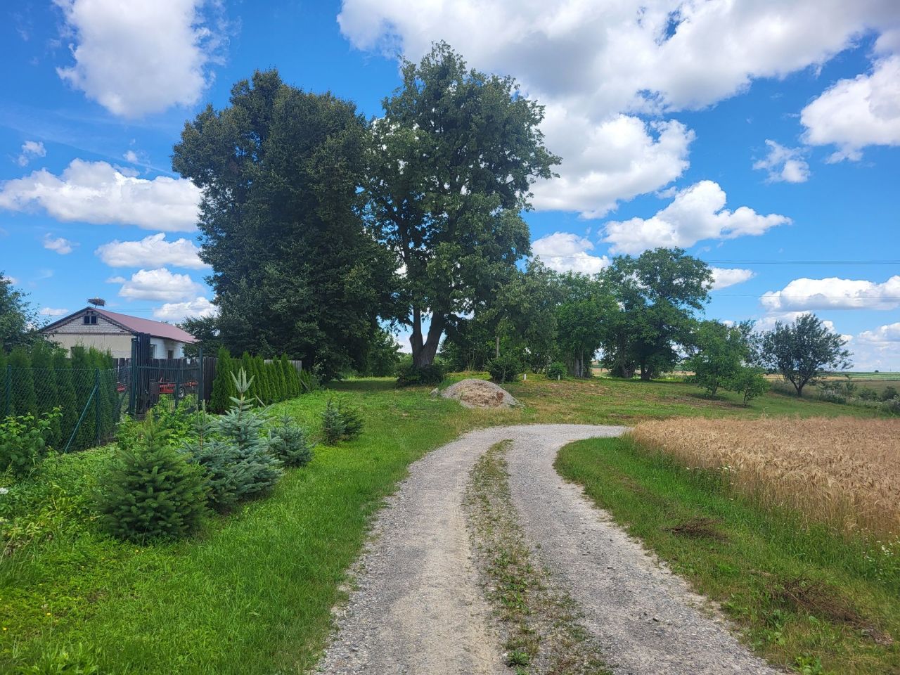 siedlisko Średnie Małe. Zdjęcie 6