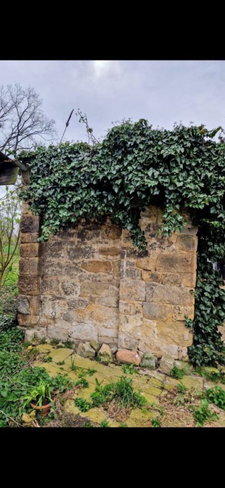 Działka siedliskowa Nowa Wieś Złotoryjska. Zdjęcie 15