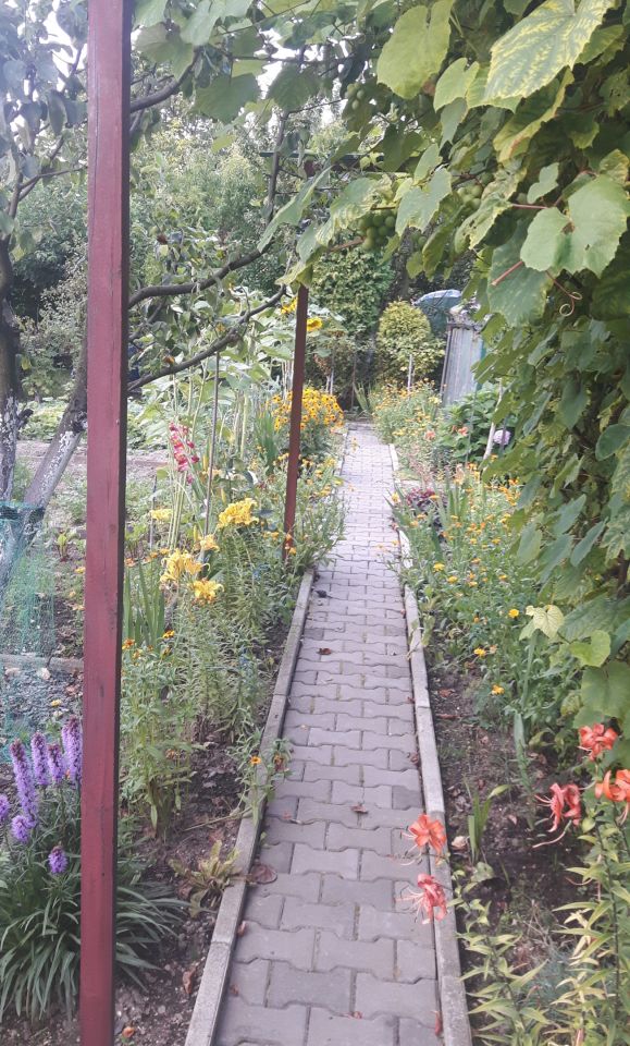 Działka rod Zaborze, Przy potoku. Zdjęcie 3