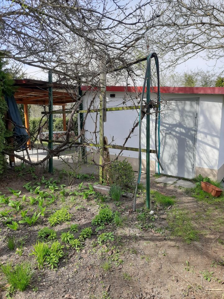 Działka rod Legnica, ul. Chojnowska. Zdjęcie 3