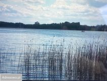 Działka rolna Mieruniszki. Zdjęcie 4