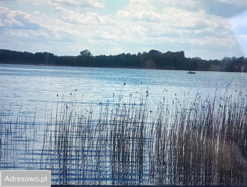 Działka rolna Mieruniszki. Zdjęcie 5