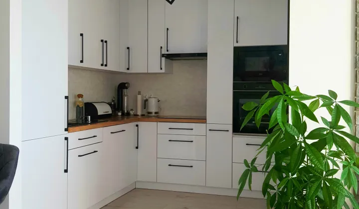 Mieszkanie 4-pokojowe Dąbrowa Tarnowska Bagienica, ul. Oleśnicka