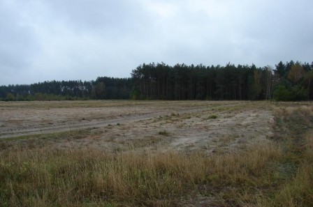 Działka rolno-budowlana Przerytka