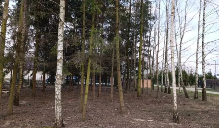 Działka budowlana Kuranów