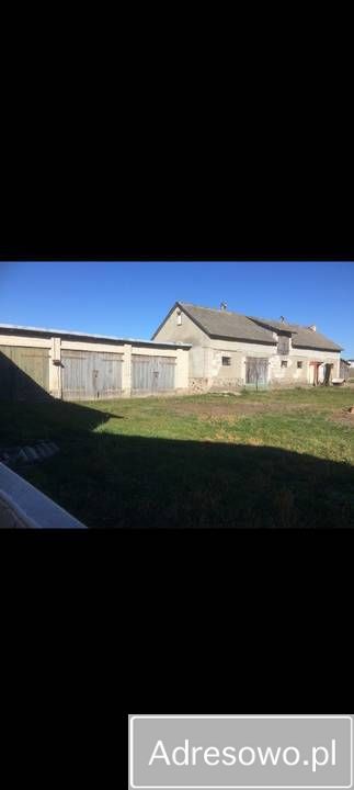 Działka siedliskowa Rusków. Zdjęcie 8