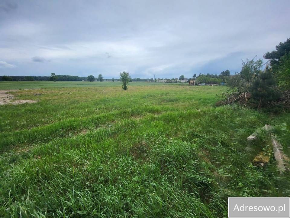 gospodarstwo Biadacz. Zdjęcie 5