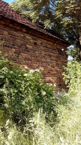 Działka rolno-budowlana Żarka nad Nysą. Zdjęcie 1
