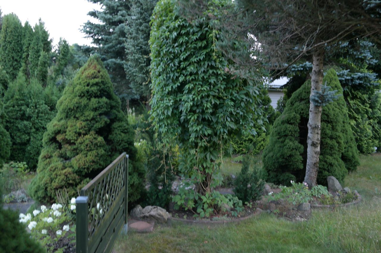 Działka rod Niewodnica Kościelna, ul. Działkowców. Zdjęcie 54