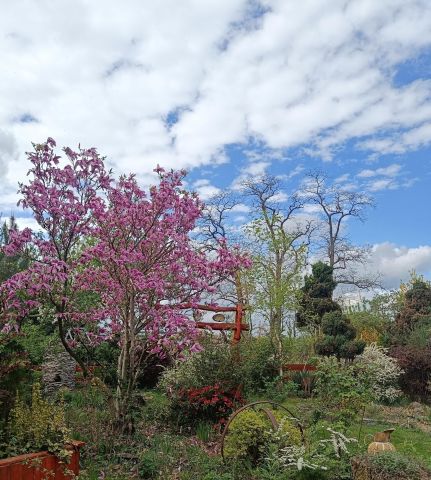 Działka budowlana Jarosław, JAROSŁAW. Zdjęcie 1