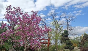 Działka budowlana Jarosław, JAROSŁAW