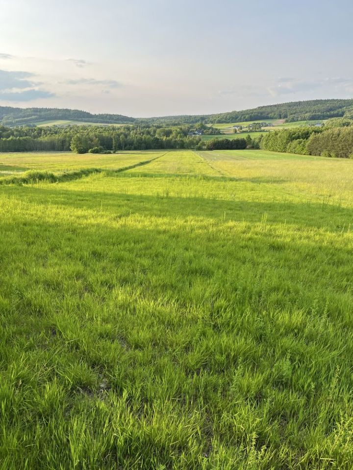 Działka rolno-budowlana Ociesęki. Zdjęcie 4