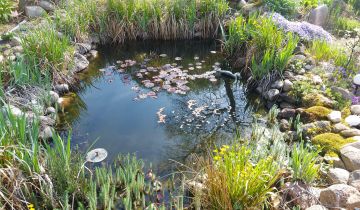 Działka rod Koźlice