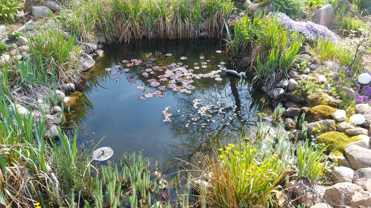 Działka rod Koźlice. Zdjęcie 2