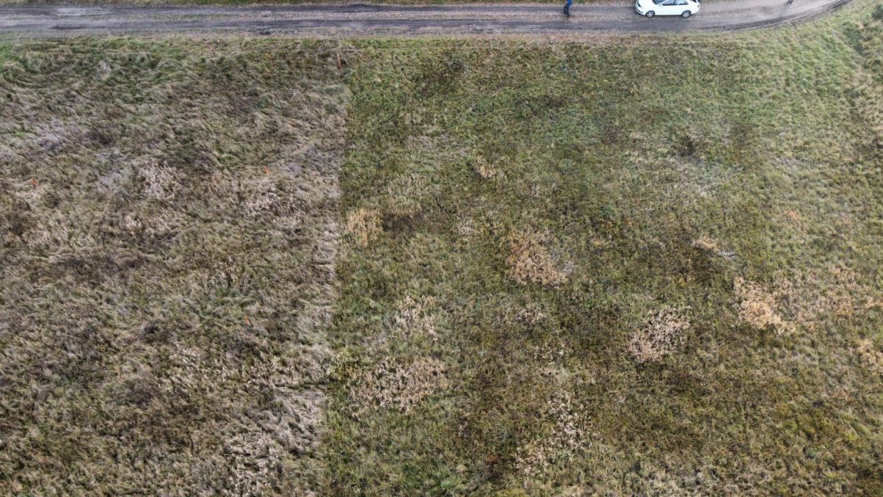 Działka rolno-budowlana Grobice. Zdjęcie 3