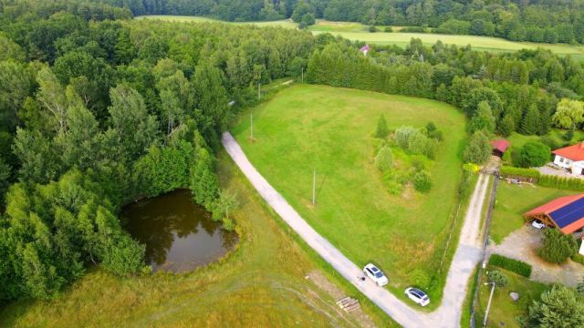 Działka rolno-budowlana Rychnowy. Zdjęcie 4