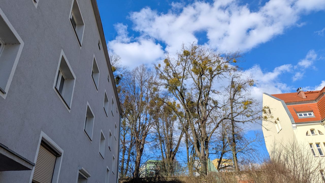 Mieszkanie 2-pokojowe Szczecin Drzetowo, ul. Willowa. Zdjęcie 22