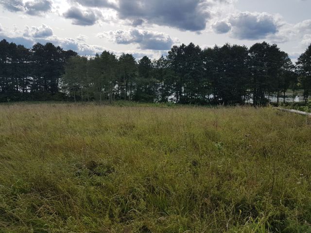 Działka budowlana Purda. Zdjęcie 1