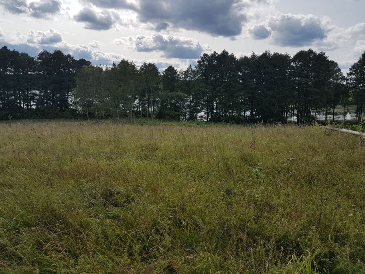 Działka budowlana Purda. Zdjęcie 1