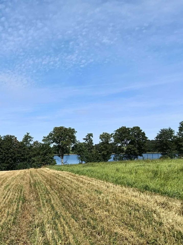 Działka budowlana Przytuły. Zdjęcie 1
