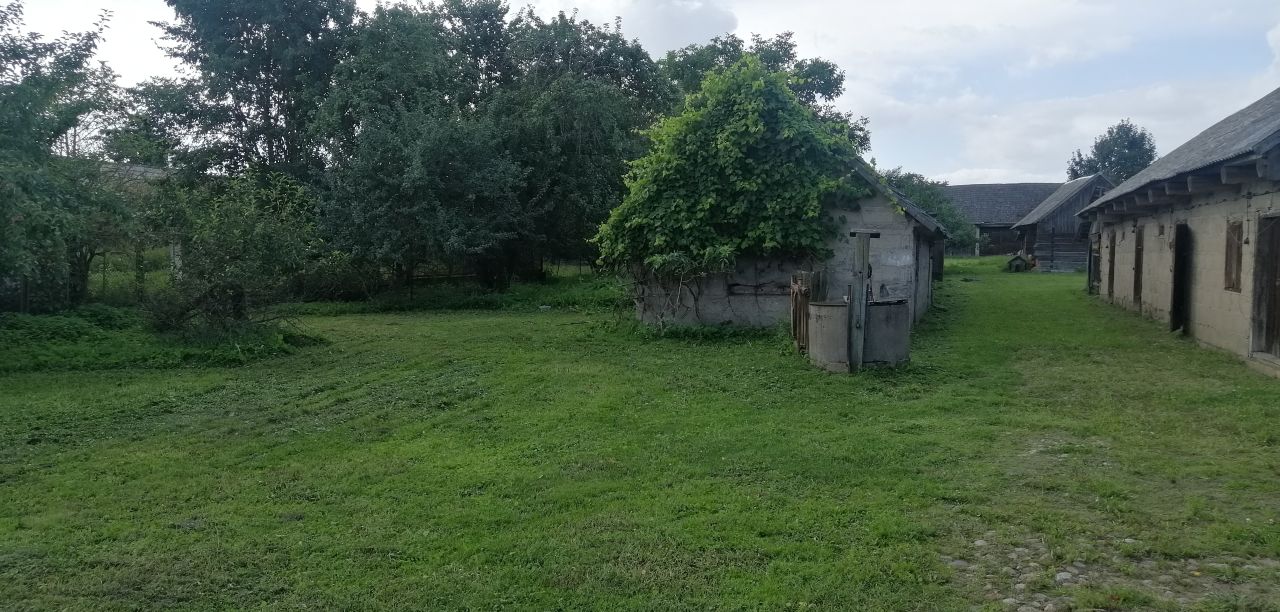 siedlisko, 4 pokoje Czyże. Zdjęcie 10