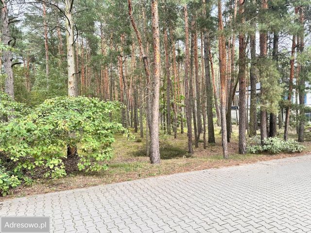 Działka budowlana Wyszków Rybienko Leśne, ul. Targowa. Zdjęcie 1