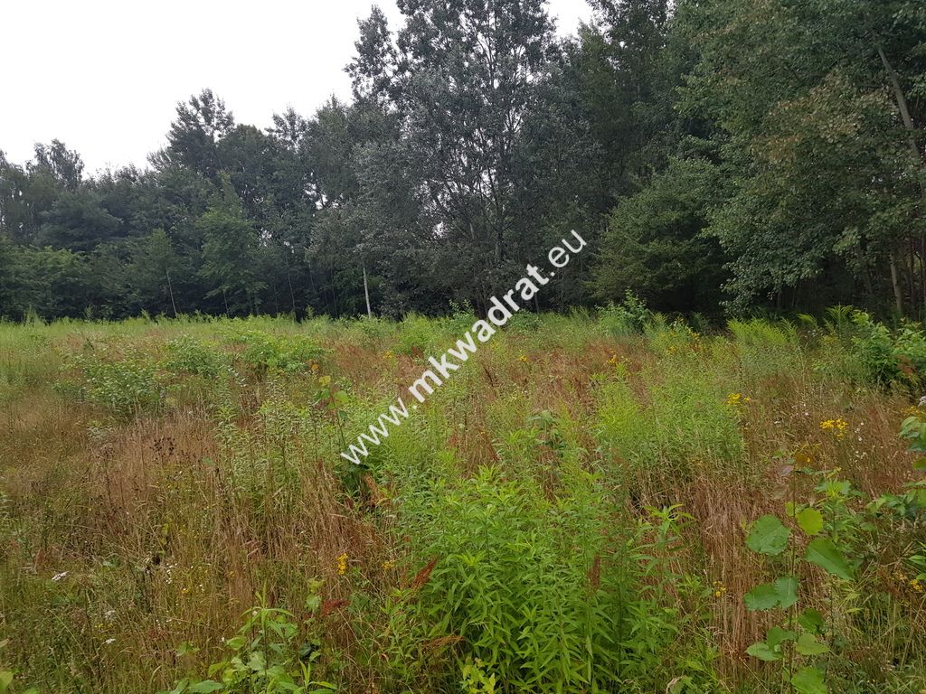 Działka budowlana Terenia. Zdjęcie 6