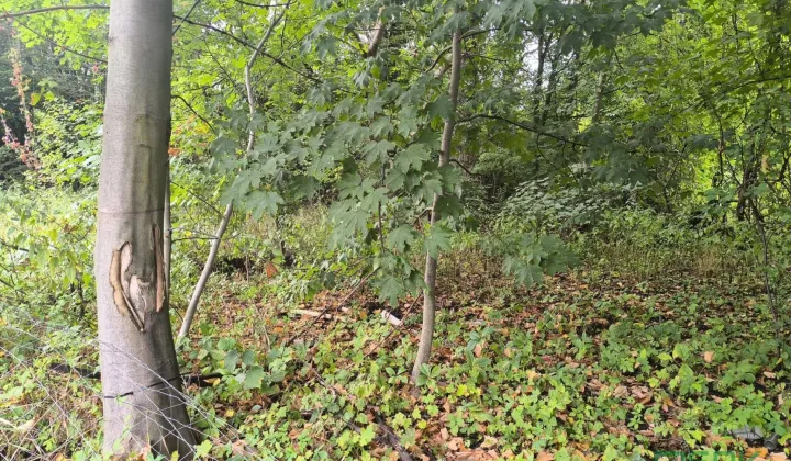 Działka inna Katowice Nikiszowiec, ul. Zamkowa