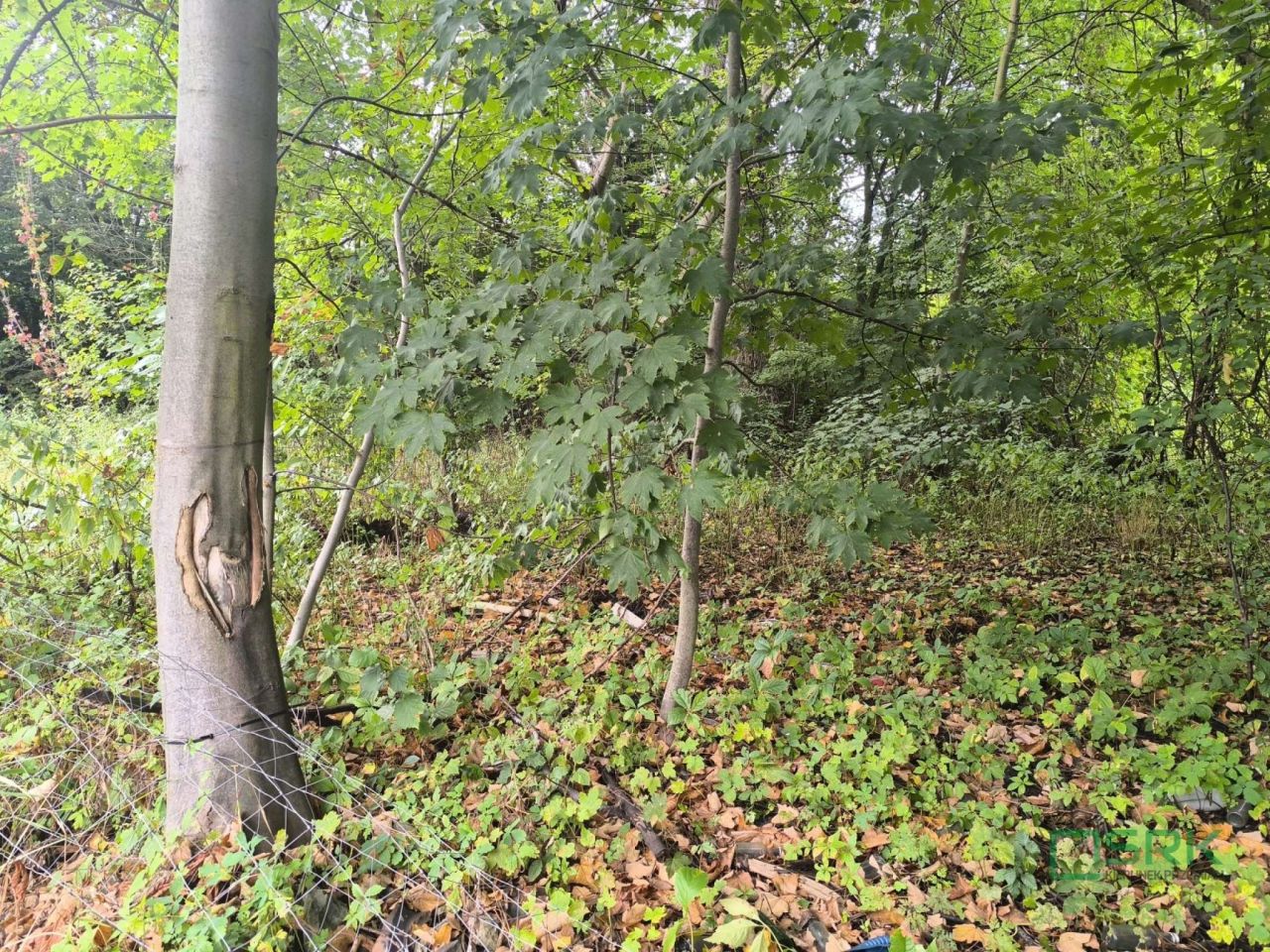 Działka inna Katowice, ul. Zamkowa. Zdjęcie 2