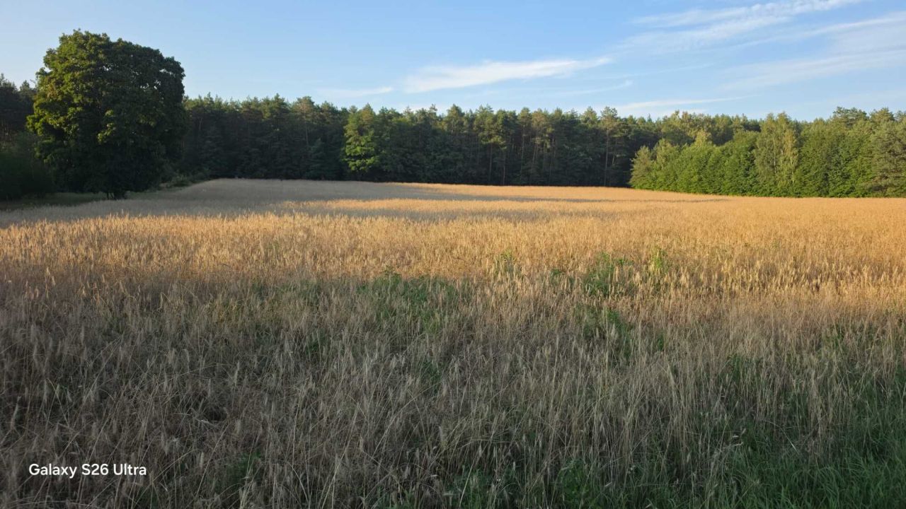 Działka budowlana Skórka. Zdjęcie 3
