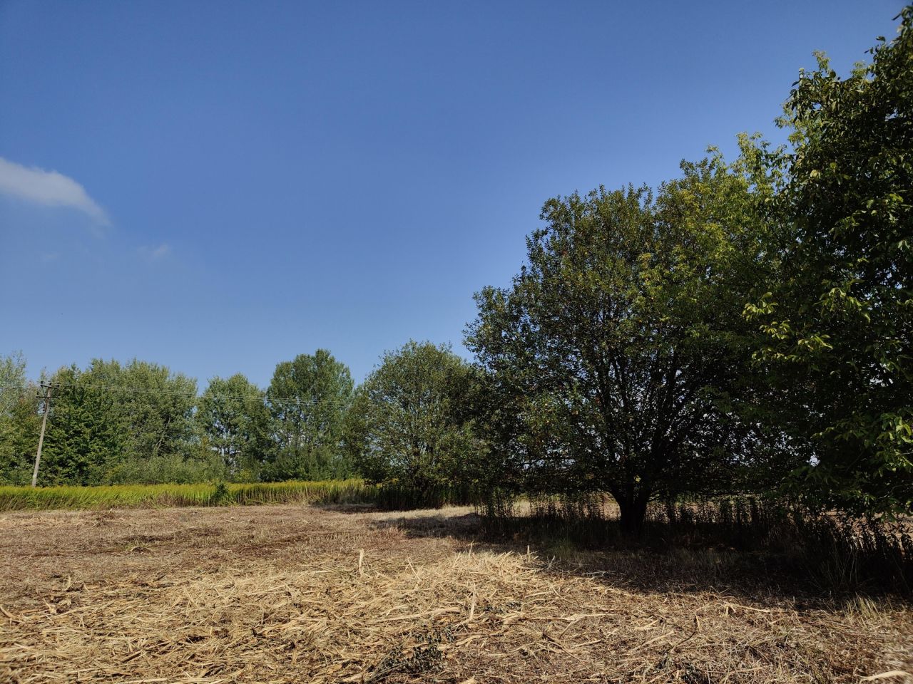 Działka budowlana Jabłonna Pierwsza. Zdjęcie 18